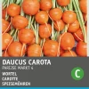 Intratuin Möhren rund (Daucus carota 'Pariser Markt') Samen