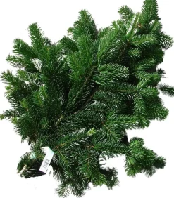 Intratuin Nordmann Tannenzweige 40 cm