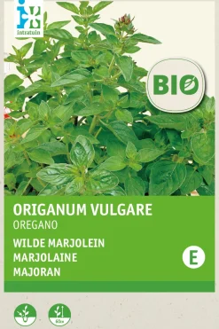 Intratuin Oregano (Origanum vulgare) (BIO) Samen