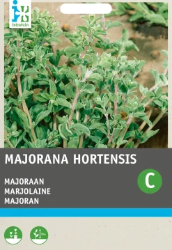 Intratuin Oregano (Origanum majorana) Samen