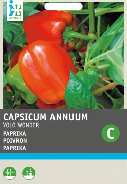 Intratuin Paprika (Capsicum annuum 'Yolo Wonder') Samen