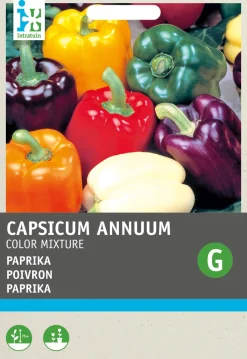 Intratuin Paprika 5-Farben-Mischung (Capsicum annuum) Samen