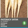Intratuin Pastinake (Pastinaca sativa 'Von Guernsey') Samen