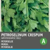 Intratuin Petersilie glatt (Petroselinum Crispum 'Einfach Schnitt') Samen