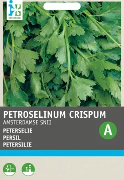 Intratuin Petersilie glatt (Petroselinum Crispum 'Einfach Schnitt') Samen