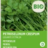 Intratuin Petersilie glatt (Petroselinum crispum 'Gigante d'Italia') (BIO) Samen