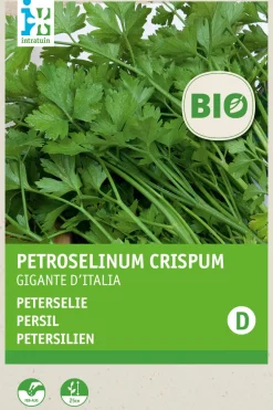 Intratuin Petersilie glatt (Petroselinum crispum 'Gigante d'Italia') (BIO) Samen