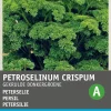 Intratuin Petersilie kraus (Petroselinum crispum 'Krause') Samen