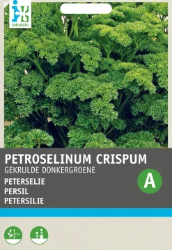 Intratuin Petersilie kraus (Petroselinum crispum 'Krause') Samen