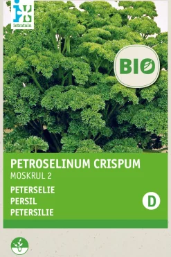 Intratuin Petersilie kraus (Petroselinum crispum 'Mooskrause 2') (BIO) Samen