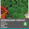 Intratuin Petersilie (Petroselinum crispum 'Bravour') Samen