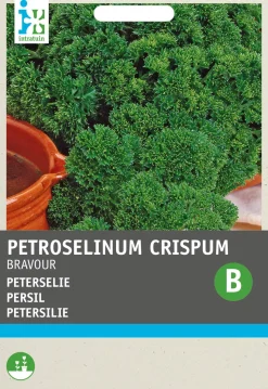 Intratuin Petersilie (Petroselinum crispum 'Bravour') Samen