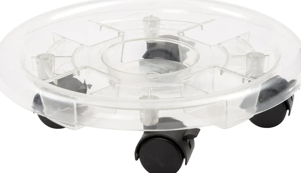 Intratuin Pflanzenroller Sven transparent D 30 H 8 cm