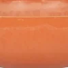 Intratuin Pflanzschale Gijsbert orange D 37 H 10,5 cm