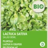 Intratuin Pflücksalat (Lactuca sativa 'Salad Bowl') (BIO) Samen