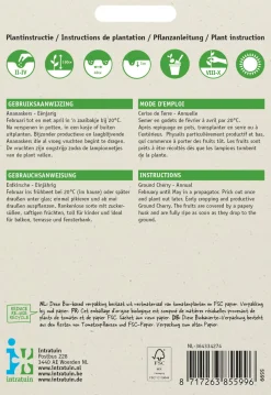 Intratuin Physalis / Erdkirsche (Physalis pruinosa) Samen