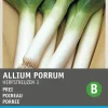 Intratuin Porree (Allium porrum 'Herbstriesen') Samen