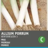 Intratuin Porree (Allium porrum 'Winterriesen') Samen
