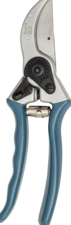 Intratuin Premium Gartenschere silber/blau