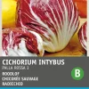 Intratuin Radicchio (Cichorium intybus 'Pallo Rossa di Chioggia') Samen