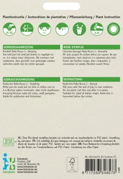 Intratuin Radicchio (Cichorium intybus 'Pallo Rossa di Chioggia') Samen