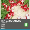 Intratuin Radieschen (Raphanus sativus 'Gaudry') Samen
