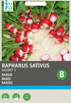 Intratuin Radieschen (Raphanus sativus 'Gaudry') Samen