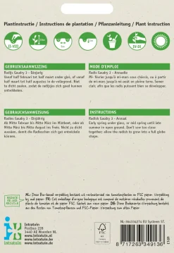 Intratuin Radieschen (Raphanus sativus 'Gaudry') Samen