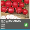 Intratuin Radieschen (Raphanus sativus 'Cherry Belle') Samen