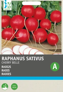 Intratuin Radieschen (Raphanus sativus 'Cherry Belle') Samen