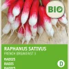Intratuin Radieschen (Raphanus sativus 'French Breakfast') (BIO) Samen