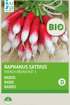 Intratuin Radieschen (Raphanus sativus 'French Breakfast') (BIO) Samen