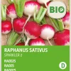 Intratuin Radieschen (Raphanus sativus 'Sparkler 2') (BIO) Samen