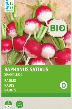 Intratuin Radieschen (Raphanus sativus 'Sparkler 2') (BIO) Samen