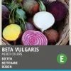 Intratuin Rüben "4 Farbenmischung" (Beta vulgares) Samen