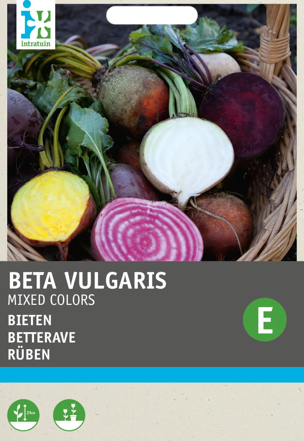 Intratuin Rüben "4 Farbenmischung" (Beta vulgares) Samen