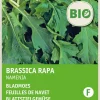 Intratuin Rübstiel (Brassica rapa 'Namenia') (BIO) Samen