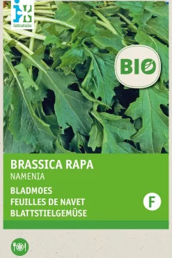 Intratuin Rübstiel (Brassica rapa 'Namenia') (BIO) Samen