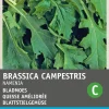 Intratuin Rübstiel (Brassica rapa 'Namenia') Samen
