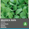 Intratuin Rübstiel grün (Brassica rapa 'Stielmus') Samen