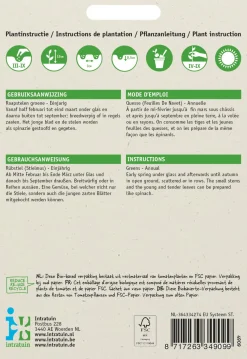 Intratuin Rübstiel grün (Brassica rapa 'Stielmus') Samen