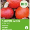 Intratuin Riesenkürbis (Cucurbita maxima 'Uchiki Kuri') (BIO) Samen