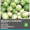 Intratuin Rosenkohl (Brassica oleracea 'Groninger') Samen