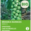 Intratuin Rosenkohl (Brassica oleracea 'Doric) (BIO) Samen