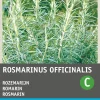 Intratuin Rosmarin (Rosmarinus officinalis) Samen