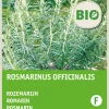 Intratuin Rosmarin (Rosmarinus officinalis) (BIO) Samen