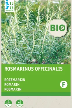 Intratuin Rosmarin (Rosmarinus officinalis) (BIO) Samen