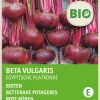 Intratuin Rote Bete (Beta vulgaris 'Ägyptische Plattrunde') (BIO) Samen