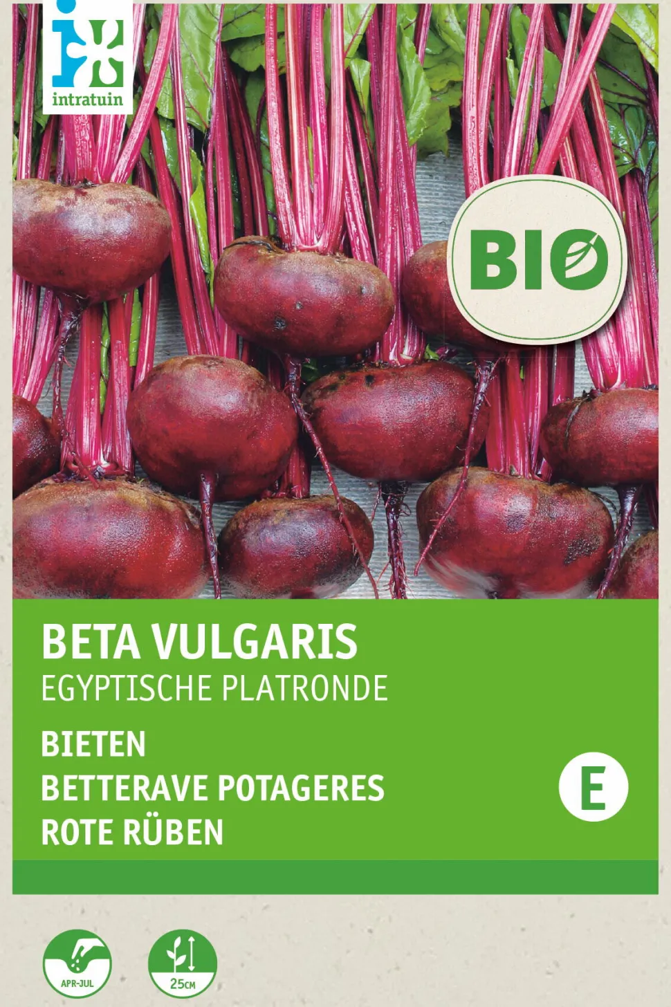 Intratuin Rote Bete (Beta vulgaris 'Ägyptische Plattrunde') (BIO) Samen