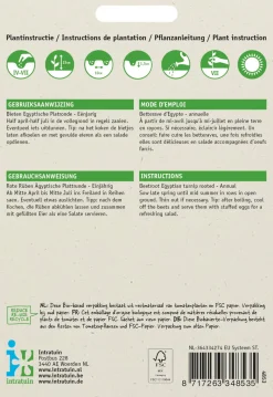 Intratuin Rote Bete (Beta vulgaris 'Ägyptische Plattrunde') Samen